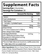 Shilajit Gummies with Ashwagandha - Image 3